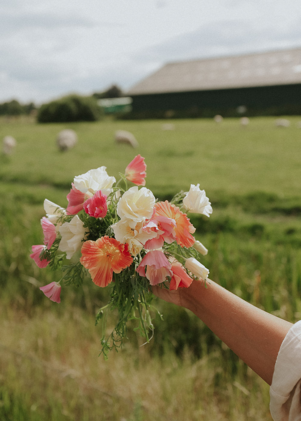 Sömntuta - Thai Silk Mix