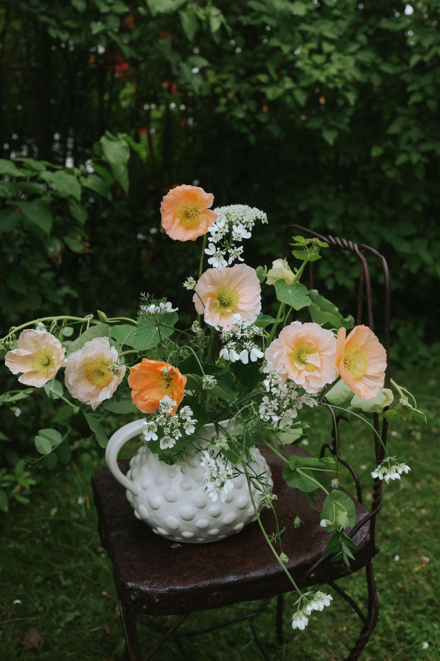 Artic Poppy - Rosa Chiaro Pastello