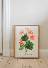Poster - Salmon Gleam