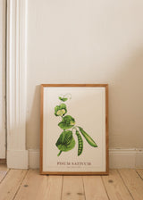 Poster - Sockerärt