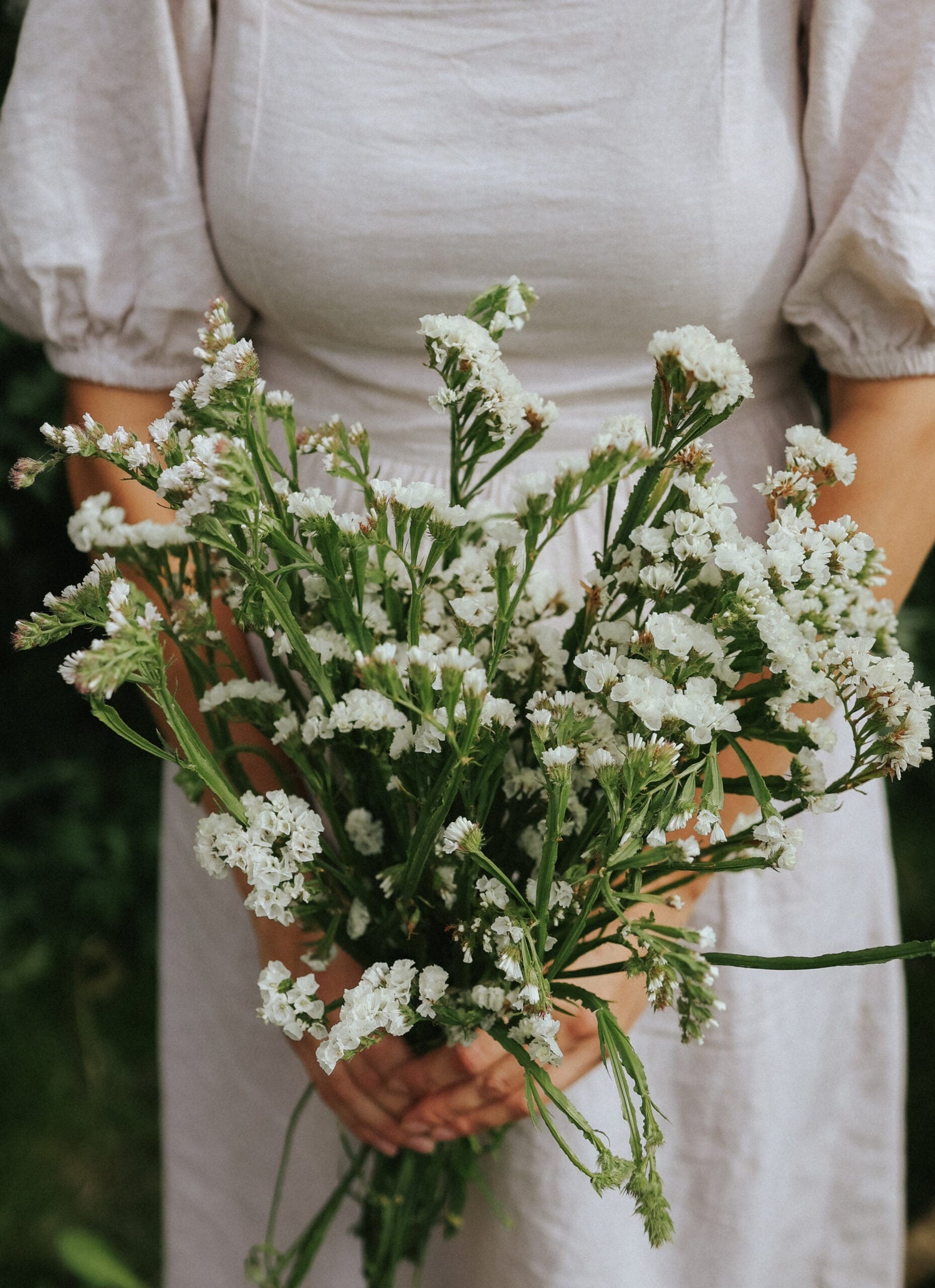 Risp - Hipster White