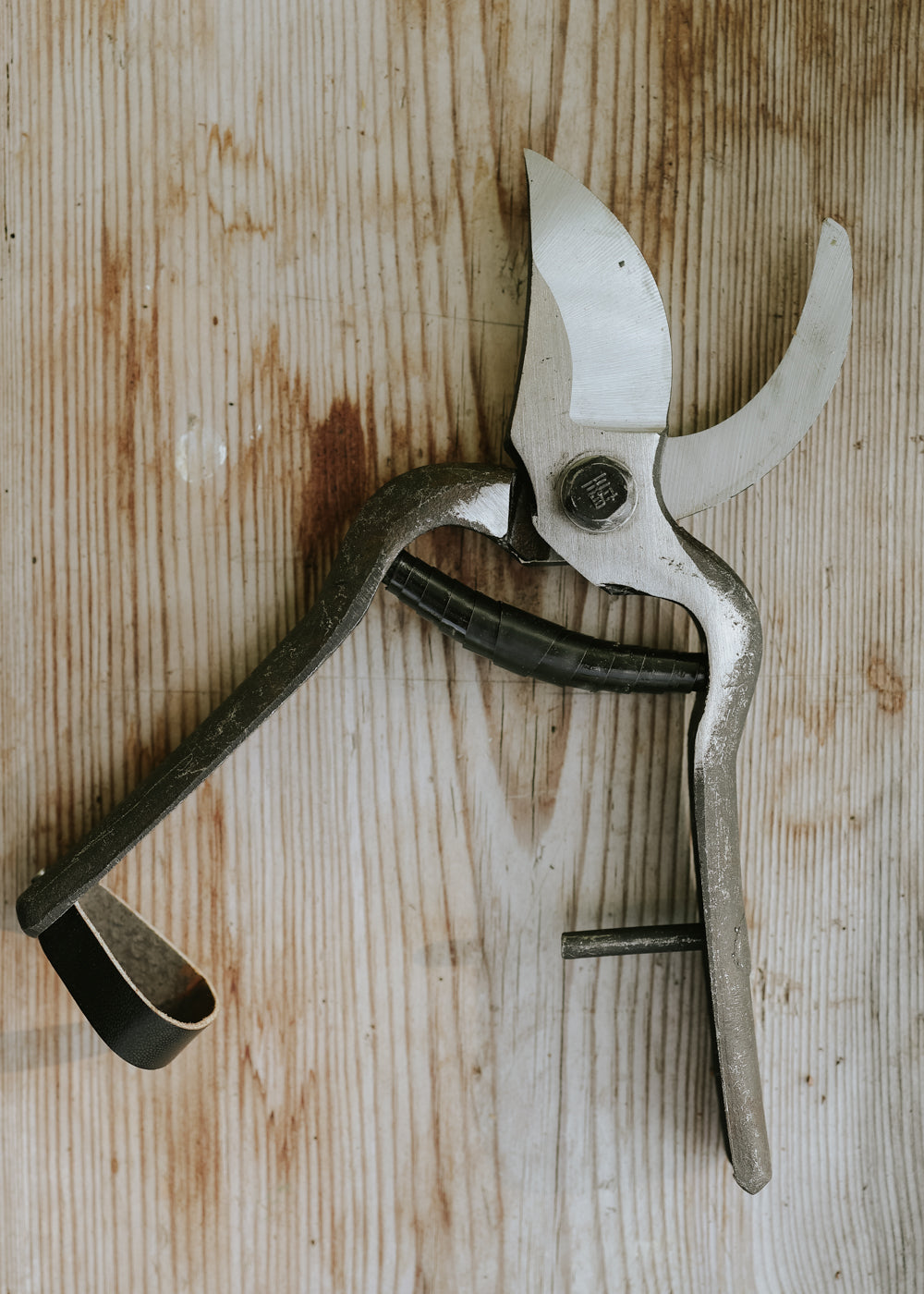 Secateurs