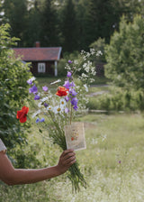 Swedish Meadow Mix