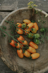 Tomato - Ormato ECO