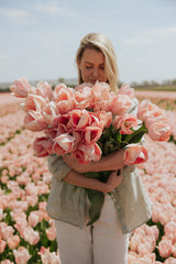 Tulipan - Mystique Van Eijk