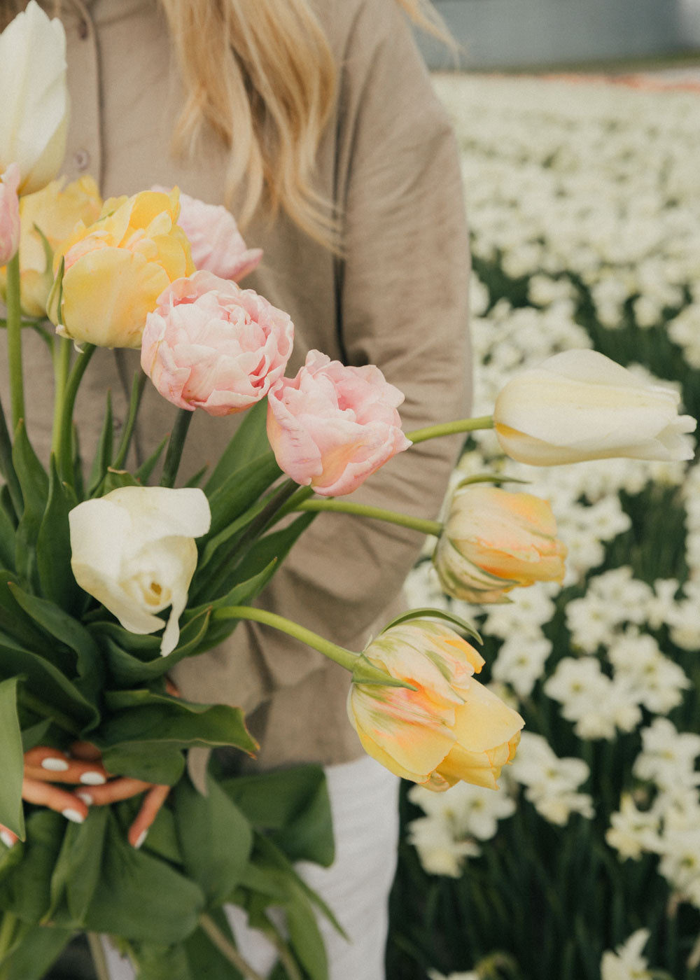 Bella and Lindas Spring Mix