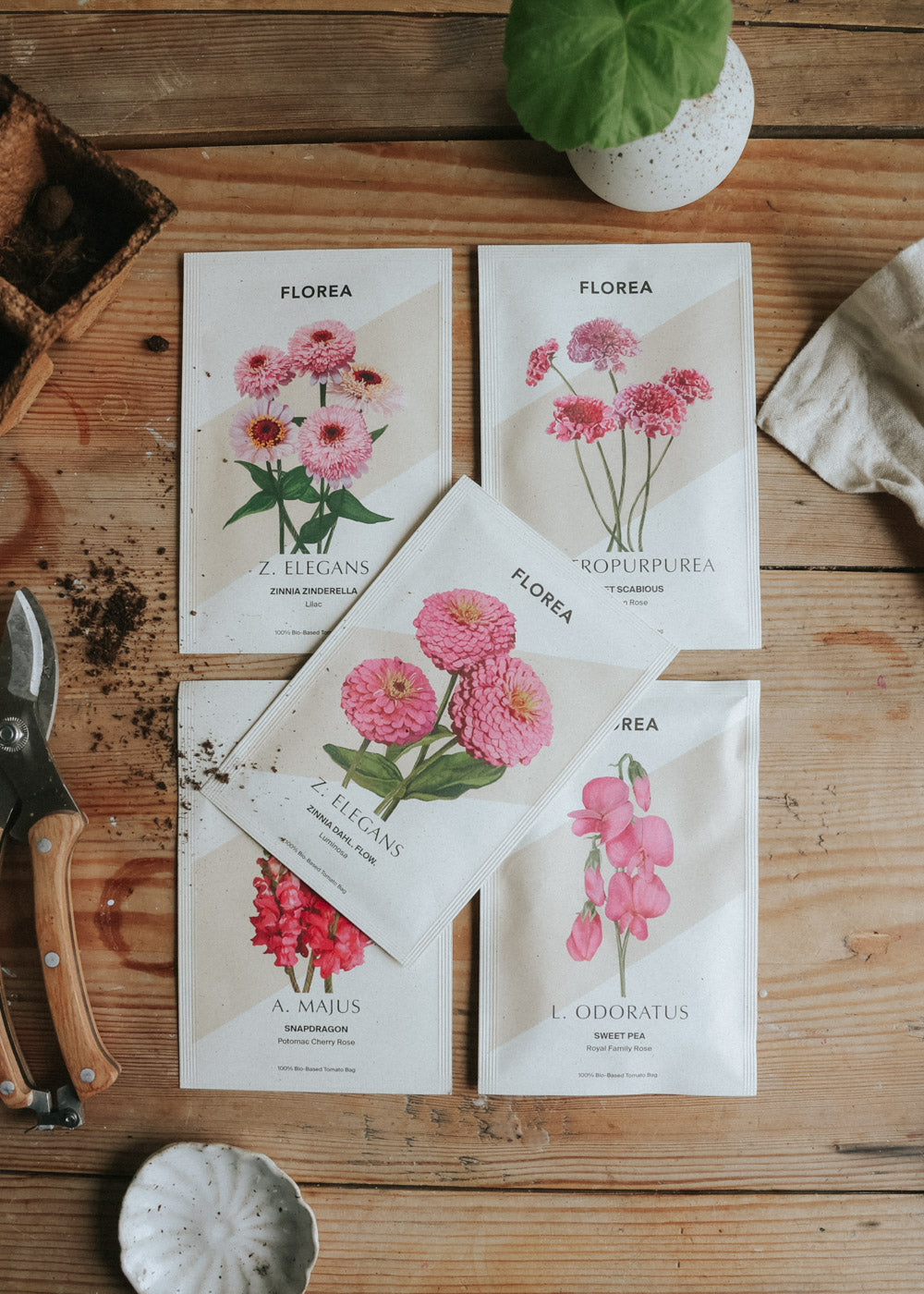 Fröpaket - Alla hjärtans dag