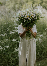 Kamomill - German Chamomile EKO
