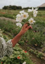 Poppy - Bridal Silk