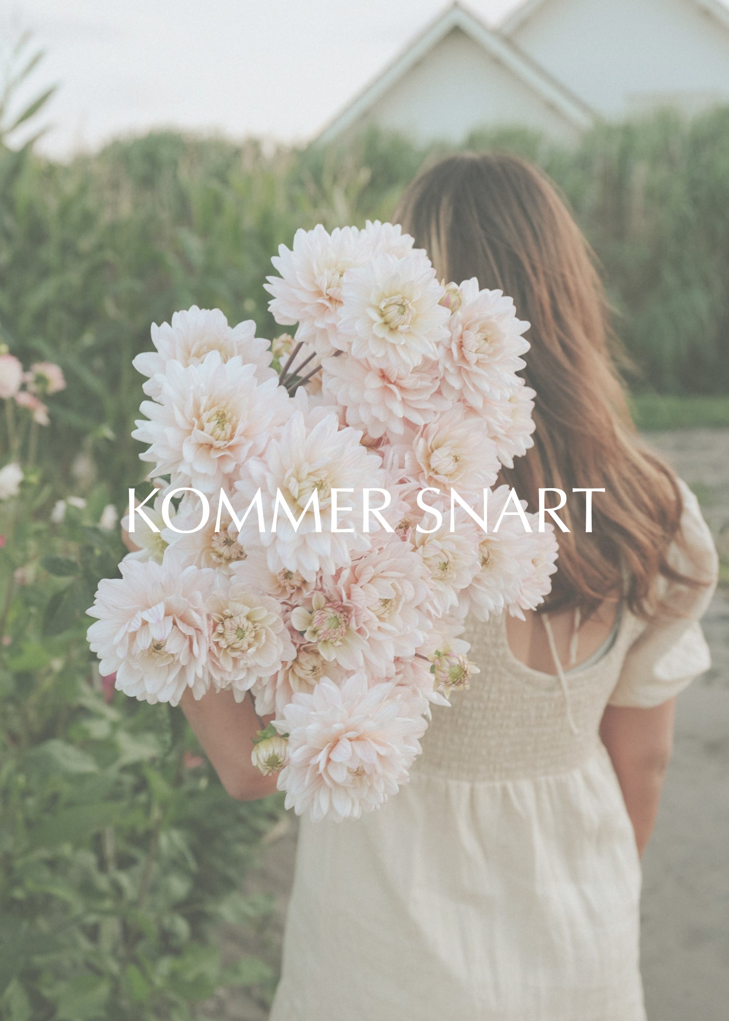 Dahlia - Diana's Memory