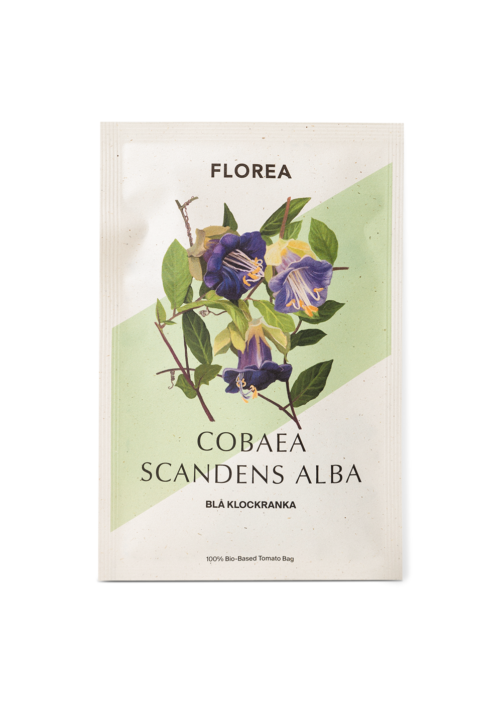 Klockranka - Violet Blue