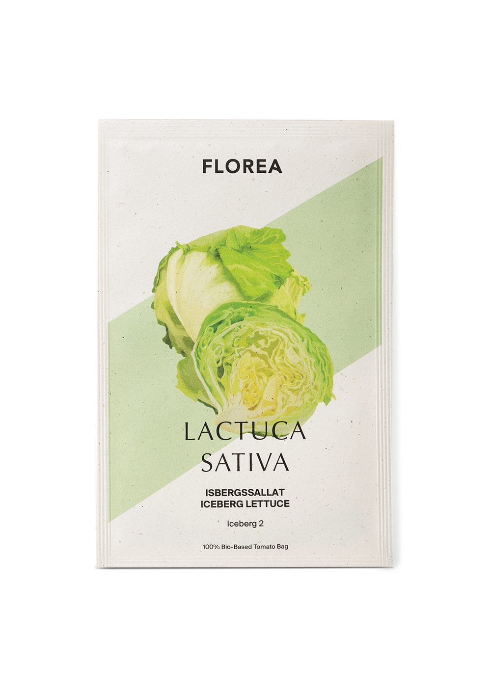 Lettuce - Iceberg 2