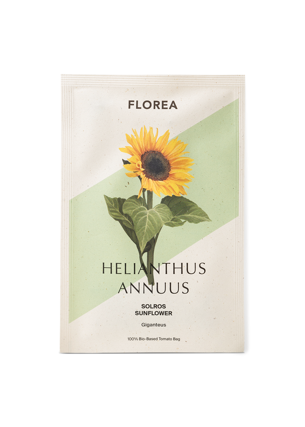 Sunflower - Giganteus