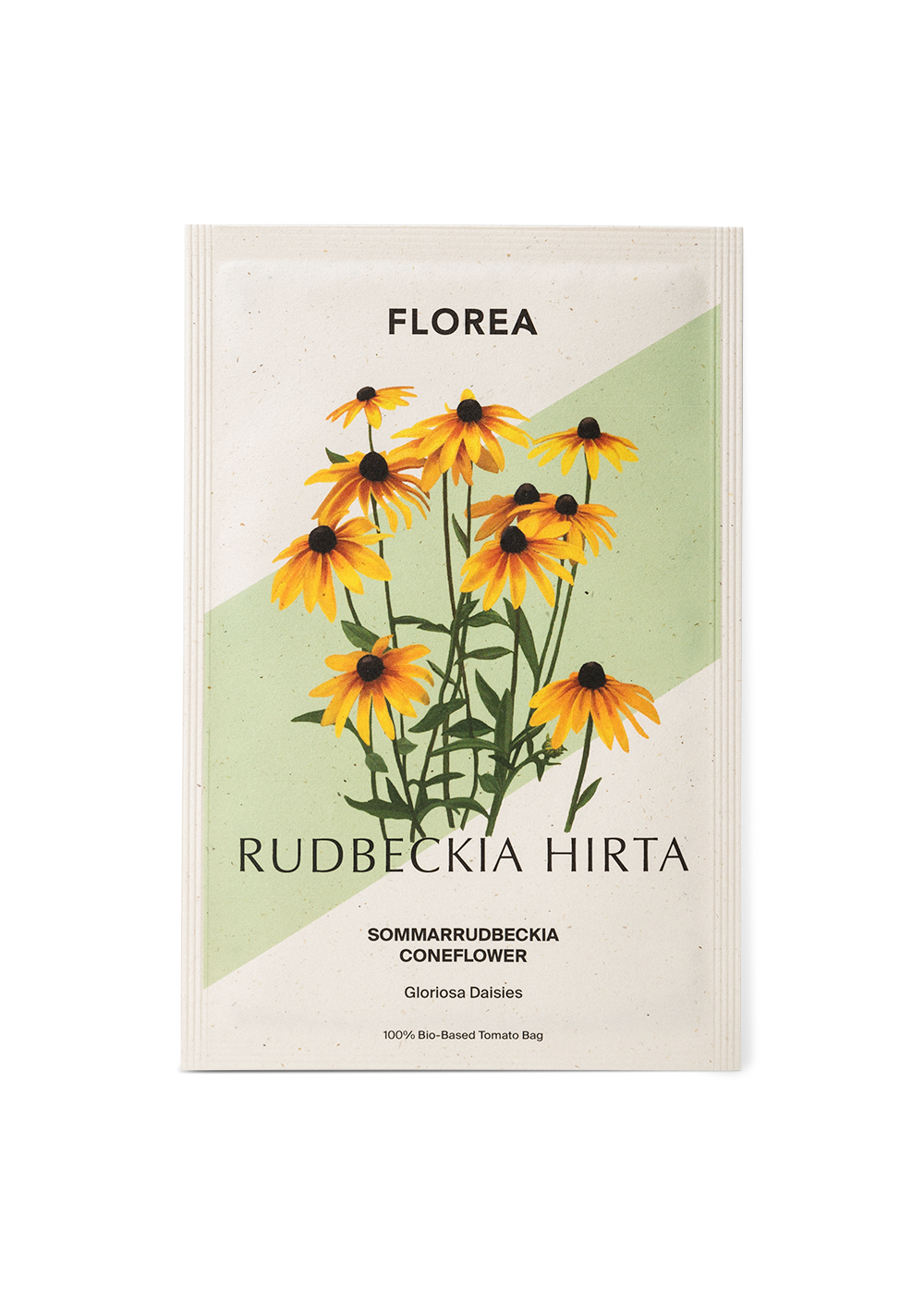 Sommarrudbeckia - Gloriosa Daisies