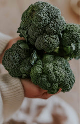 Broccoli - Calabrese Natalino EKO