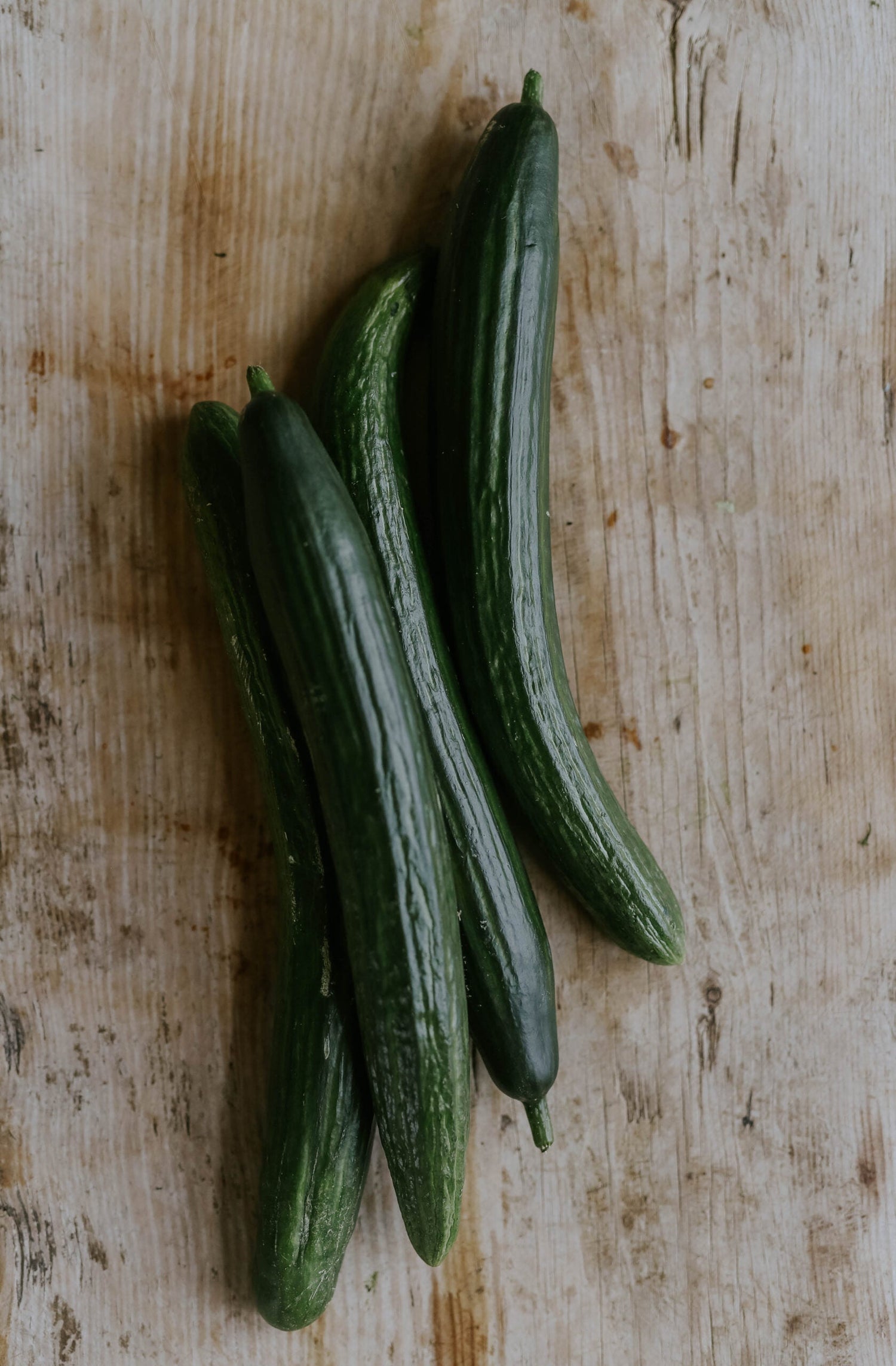 Slanggurka - Laureen F1