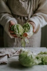 Icebergsalat - Iceberg 2