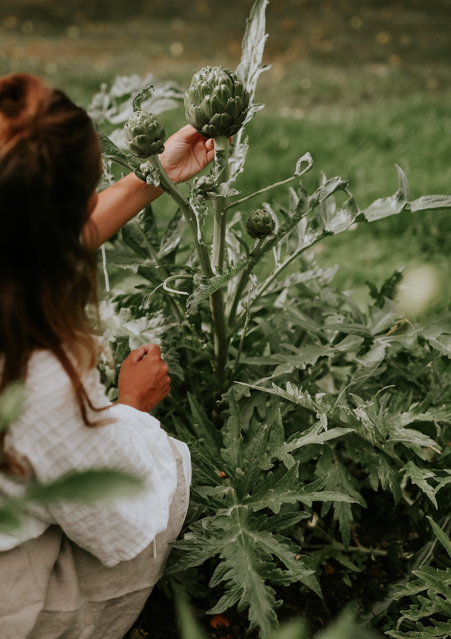 Mallow - Loveliness Rose Pink ECO