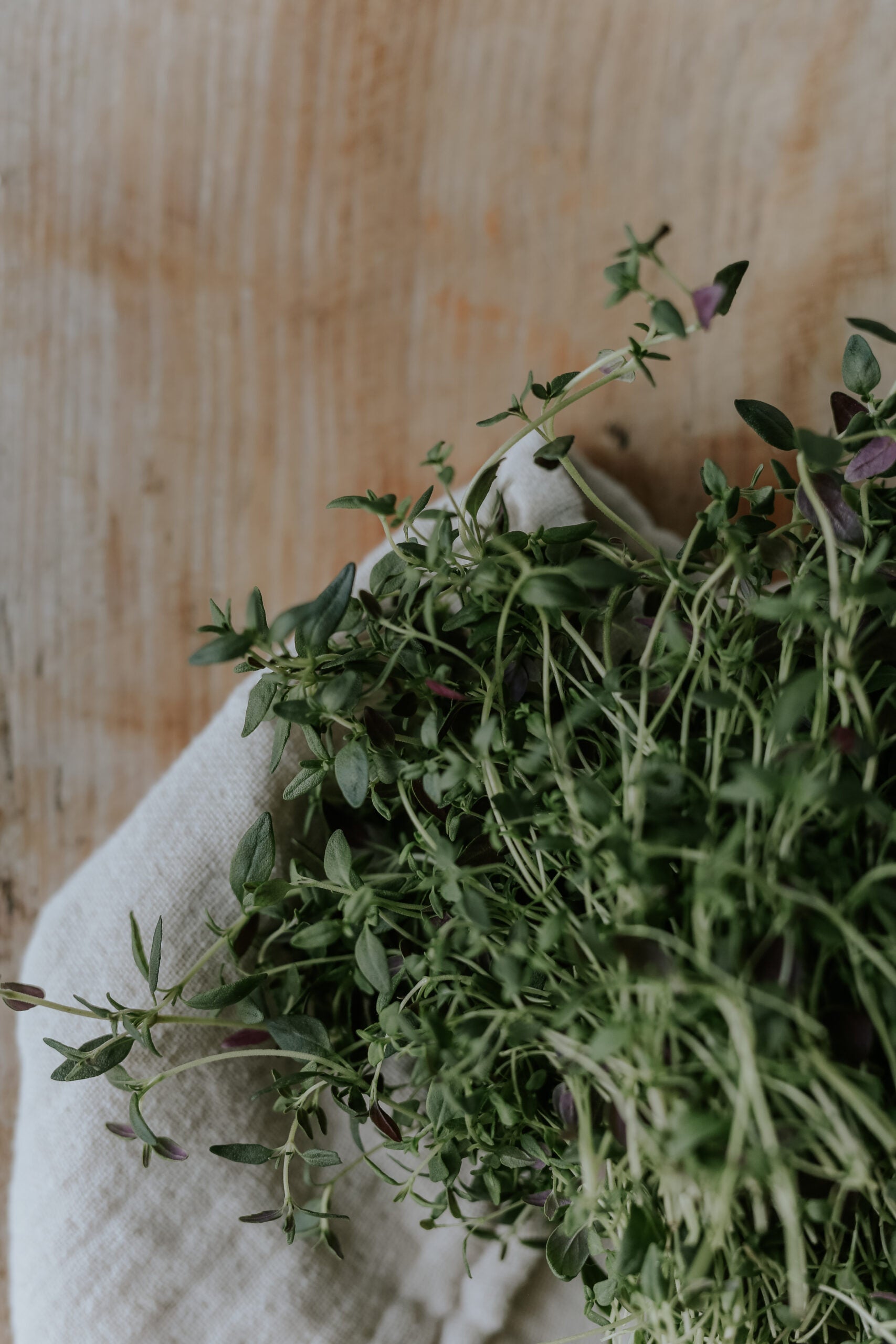 22様　nella. x Garden of eden thyme pierce Thyme seeds ECO - Buy seeds online – Florea Garden