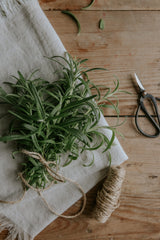 Rosmarin - Rosemary EKO