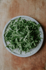 Ruccola - Rocket EKO