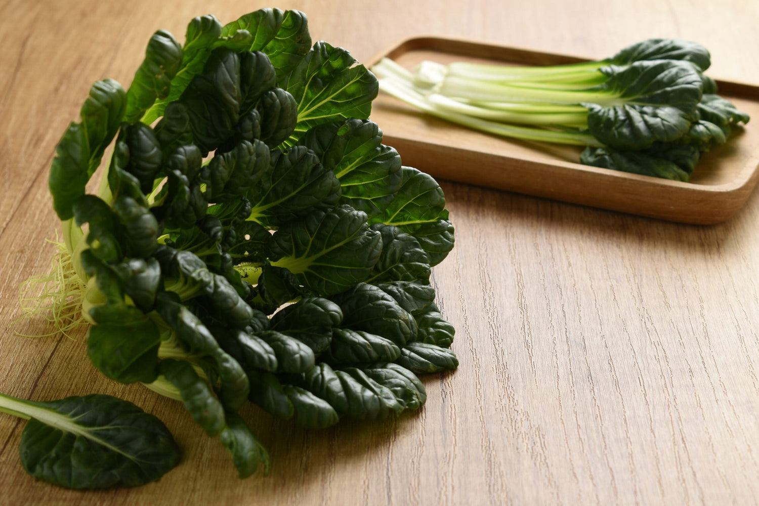 Tatsoi - Japanese Greens