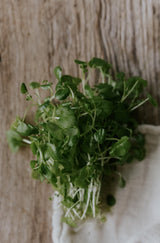 Vattenkrasse - Watercress EKO