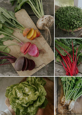 Green November - Direct Sowing