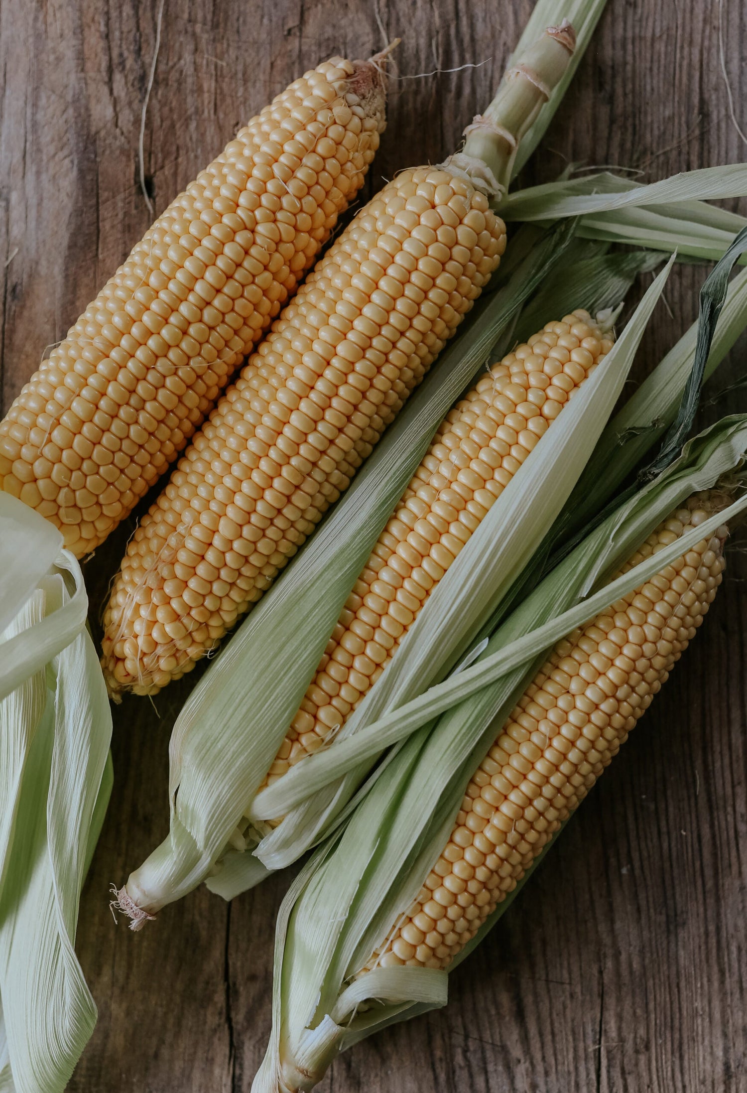 Sockermajs - Tasty Sweet F1