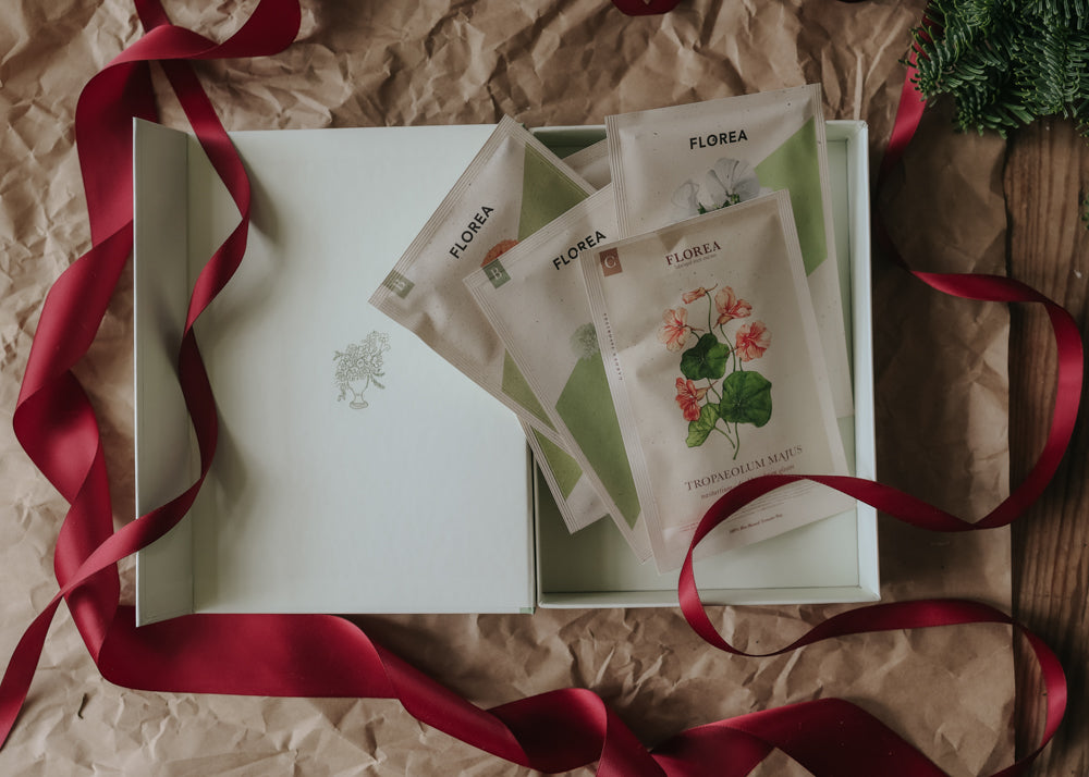 Christmas Gift – Floral Splendour