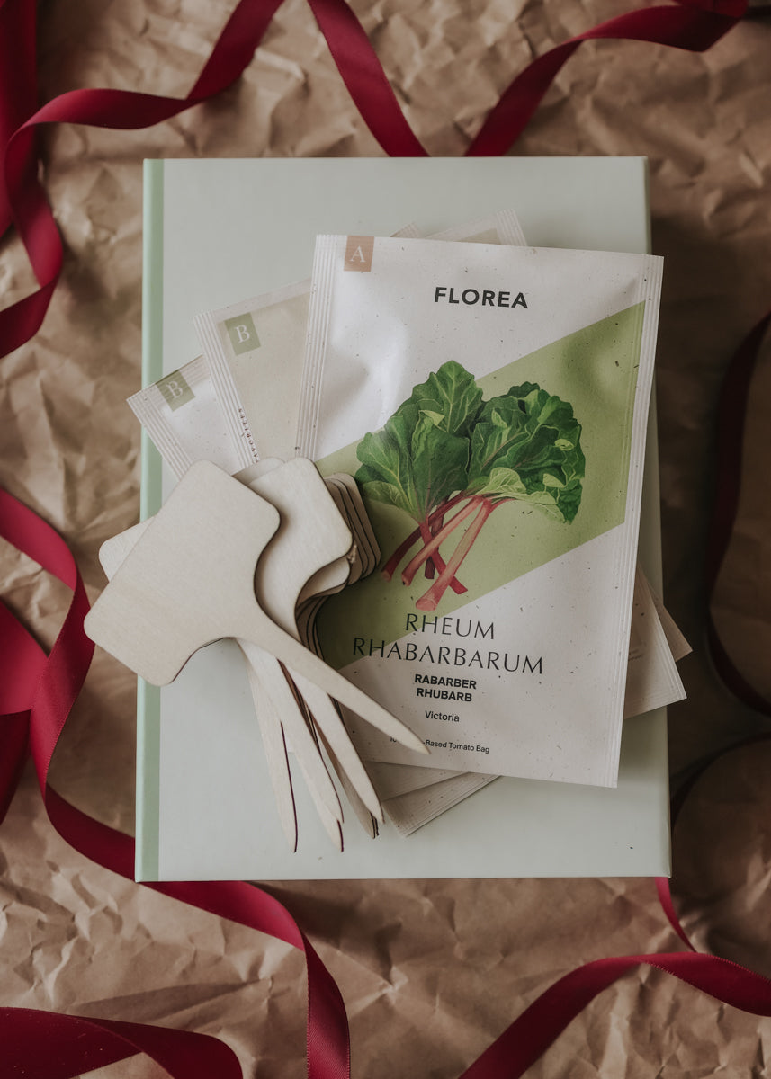 Christmas Gift – The Little Growing Box