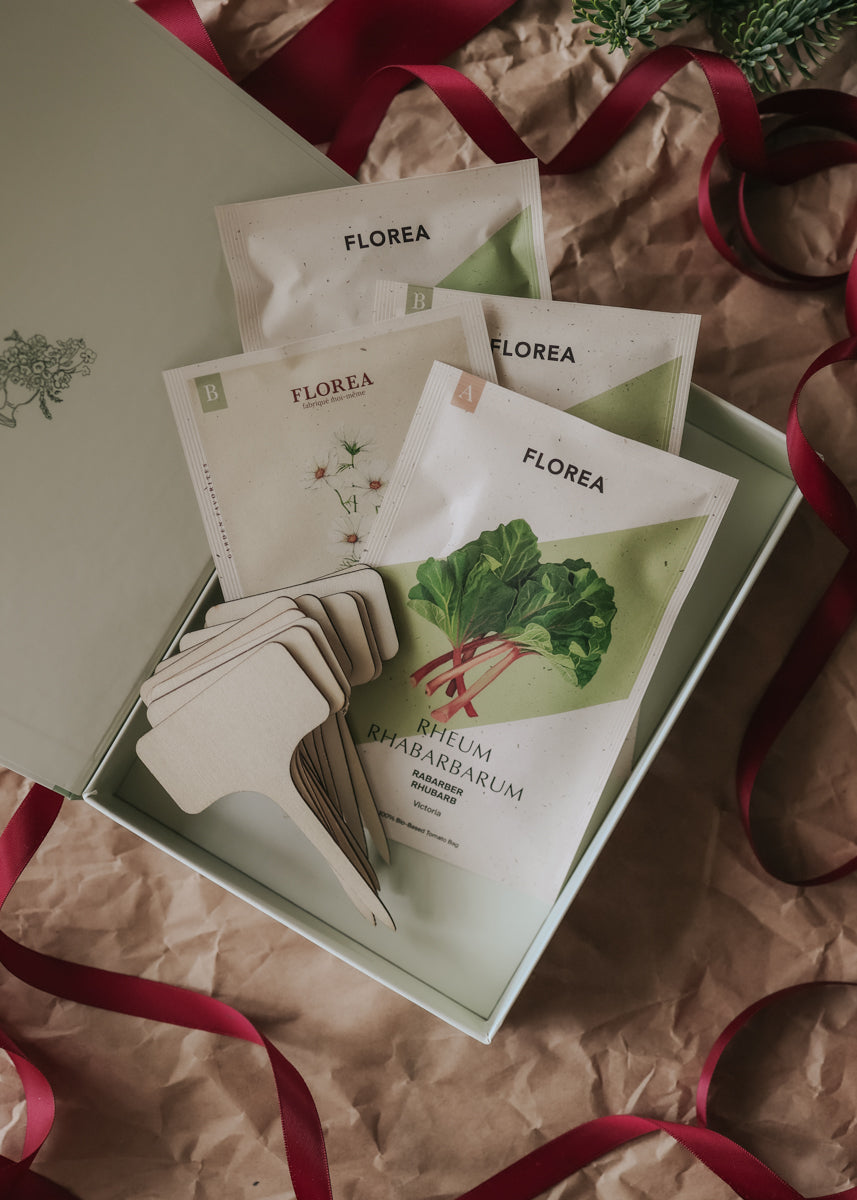 Christmas Gift – The Little Growing Box