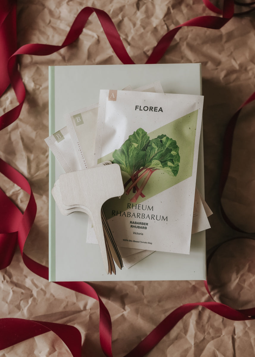 Christmas Gift – The Little Growing Box