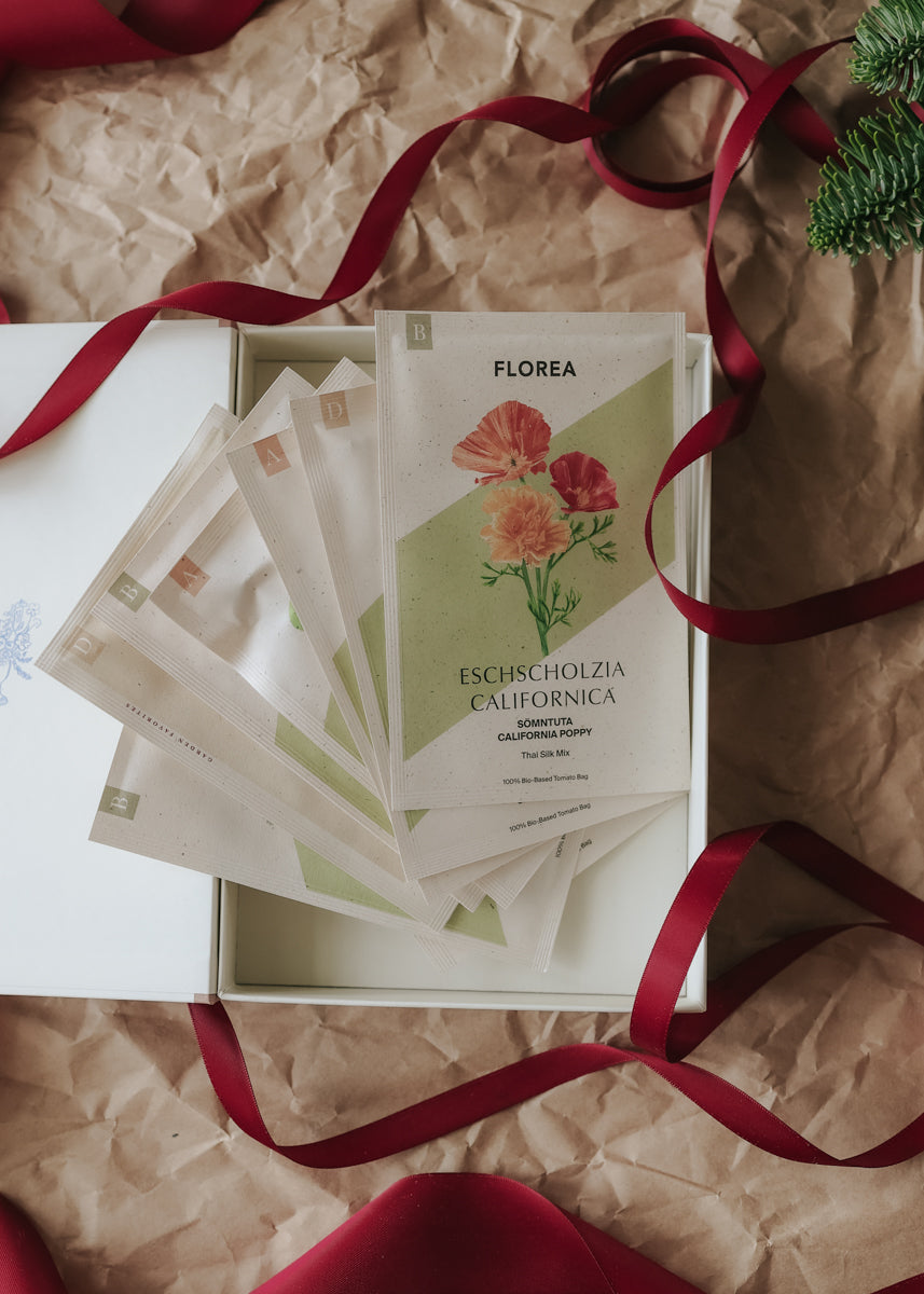 Christmas Gift – Summer Flowers