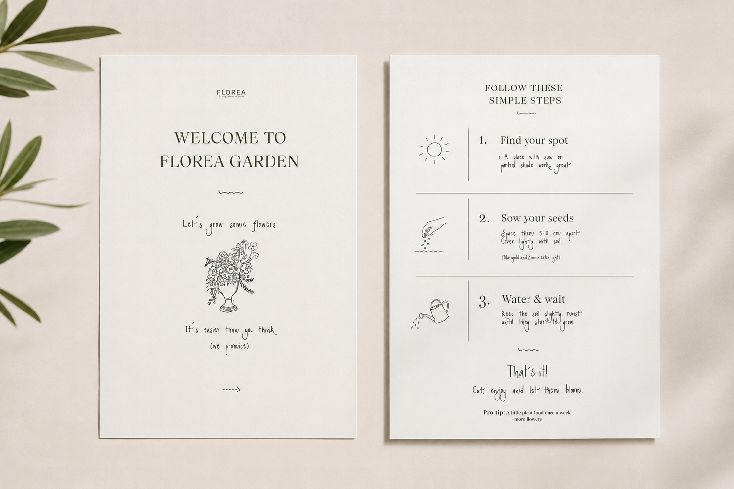 Sachets de graines - Les fleurs préférées faciles à cultiver