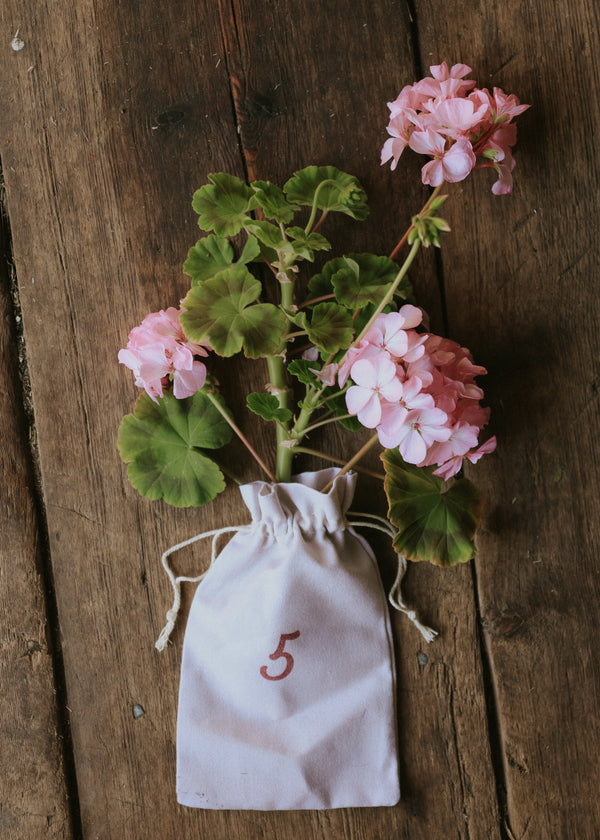 Pelargonium 'Day F1 Light Pink'