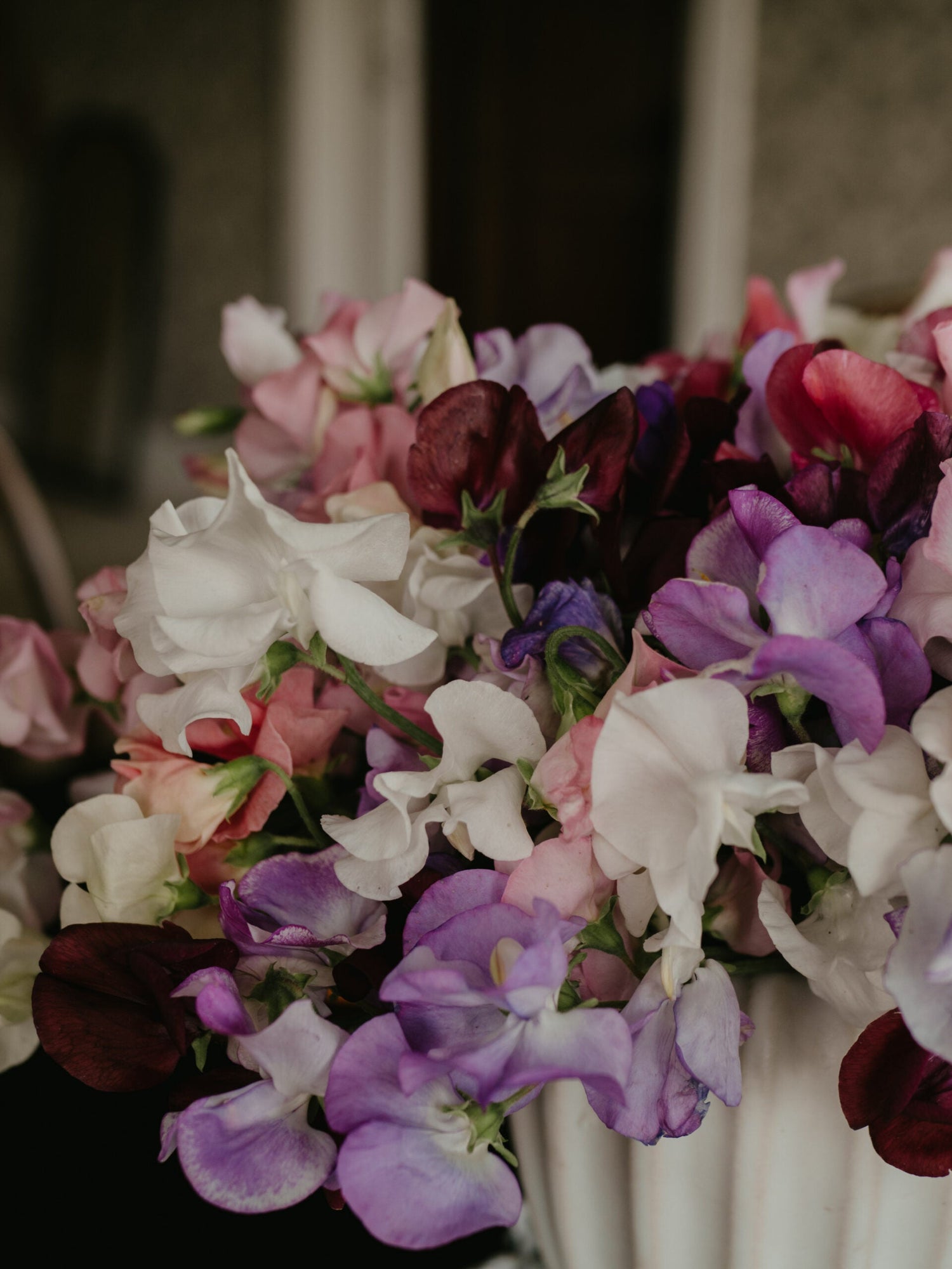 Sweet Peas - Bouquet Mix