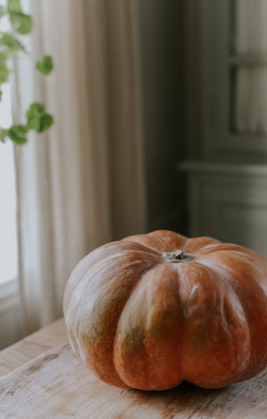 Pumpkin seeds - Musquee de Provence - buy seeds online – Florea Garden