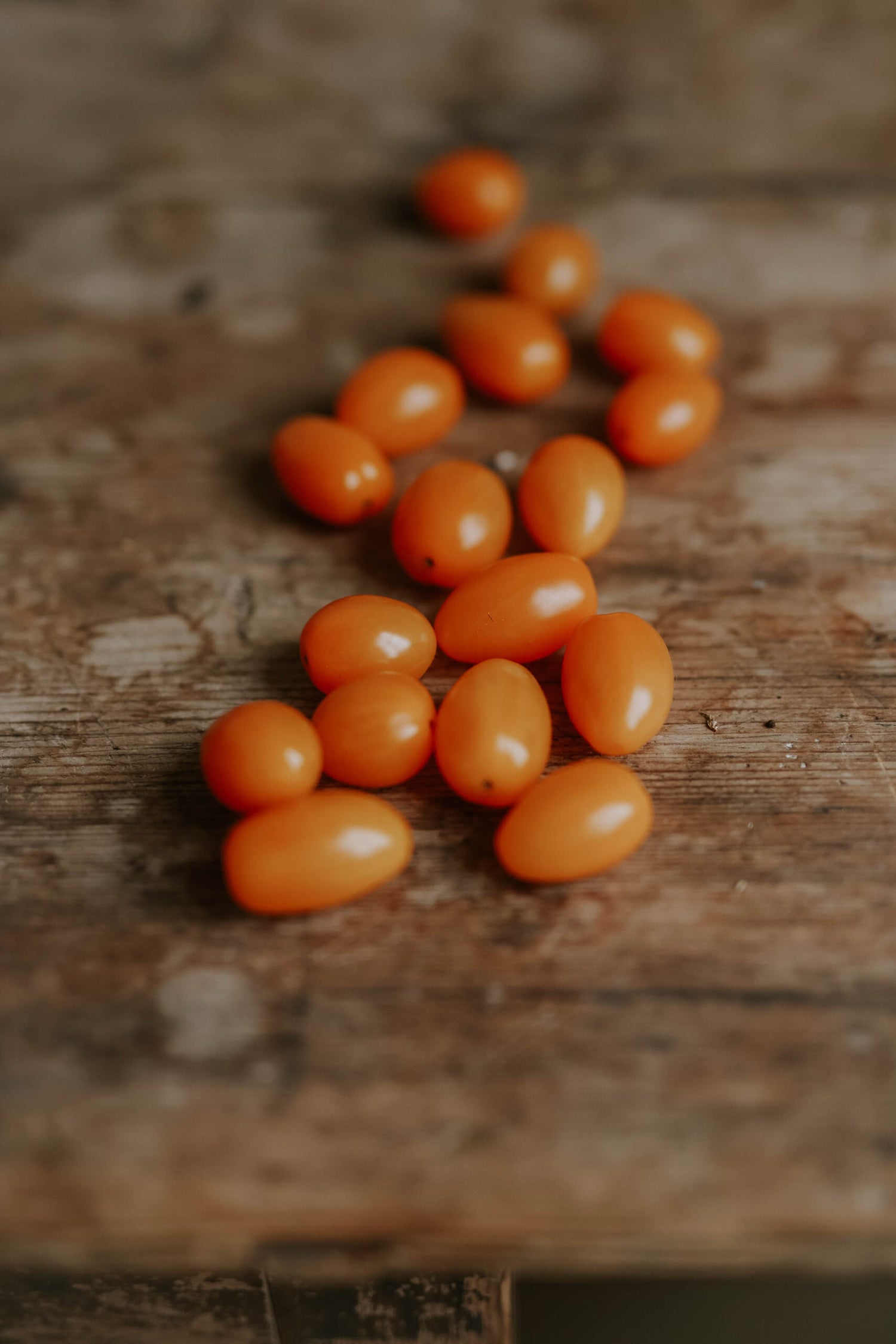 Snackpaprika - Flynn EKO