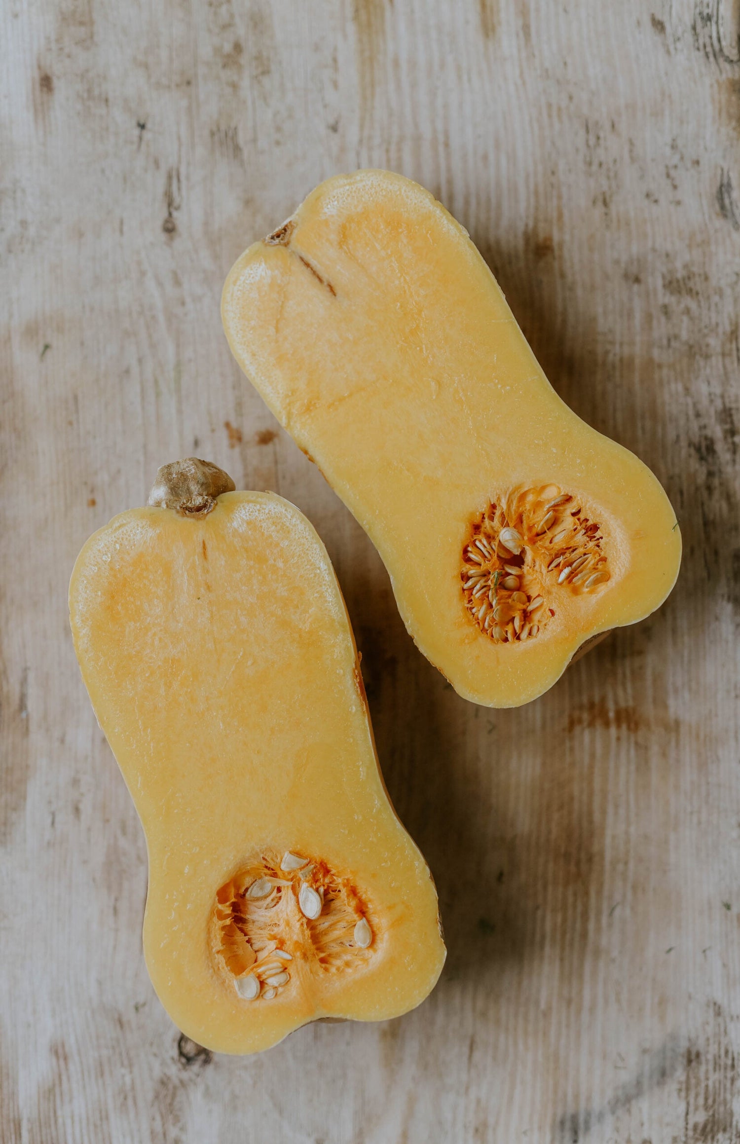 Myskpumpa / Vintersquash - Waltham Butternut EKO