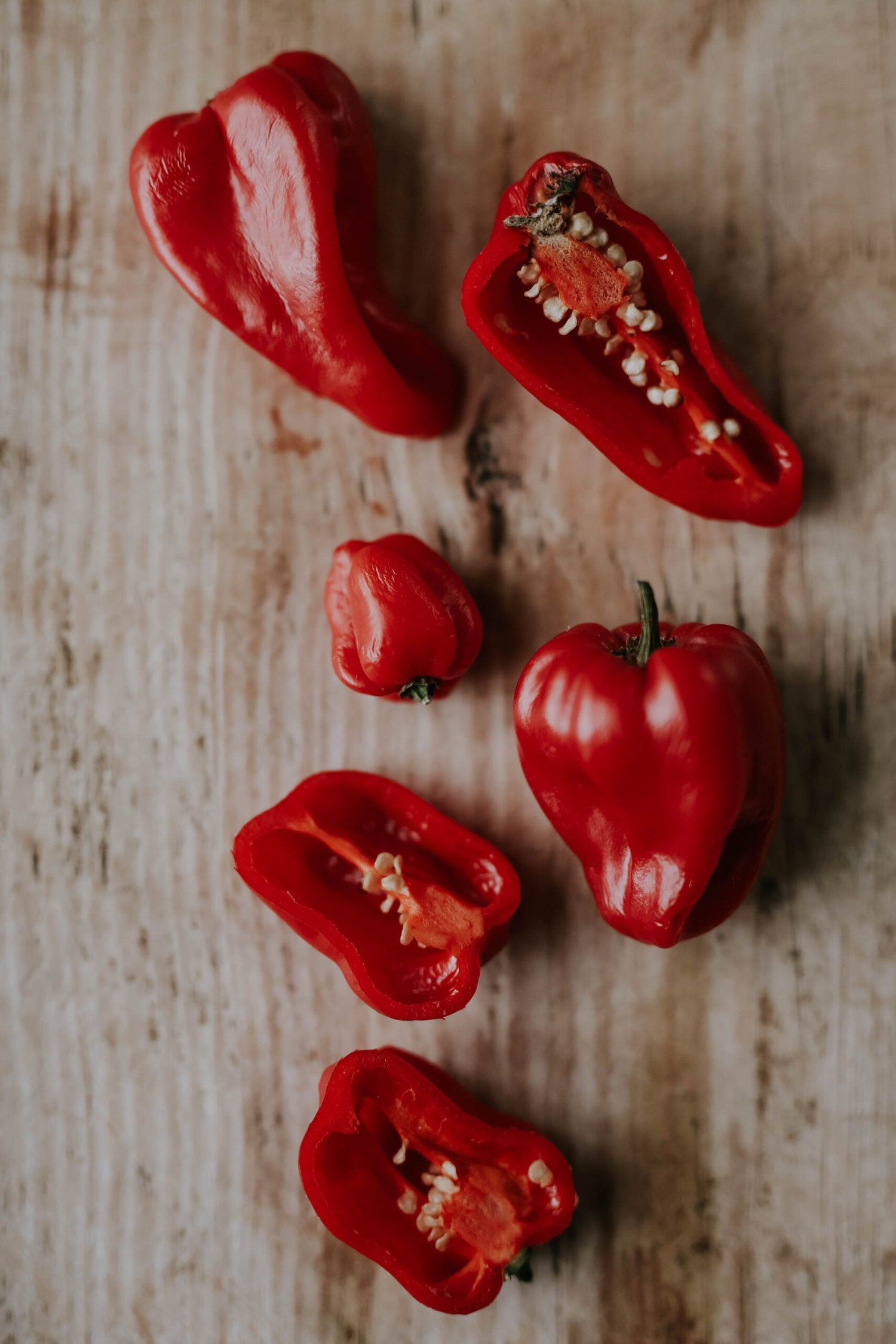 Chili - Habanero Red