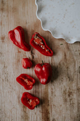 Chili - Habanero Red