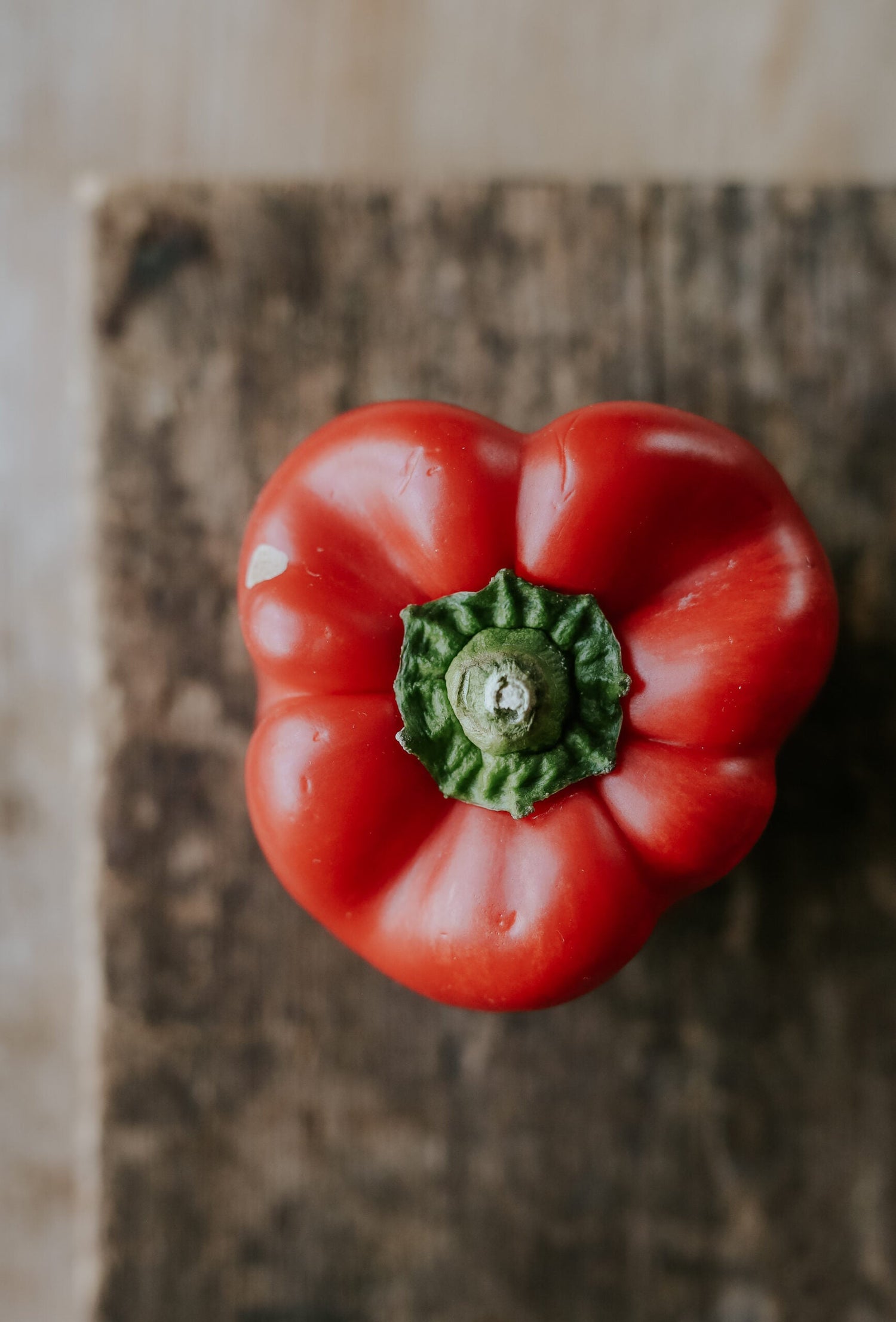 Paprika - Yolo Wonder