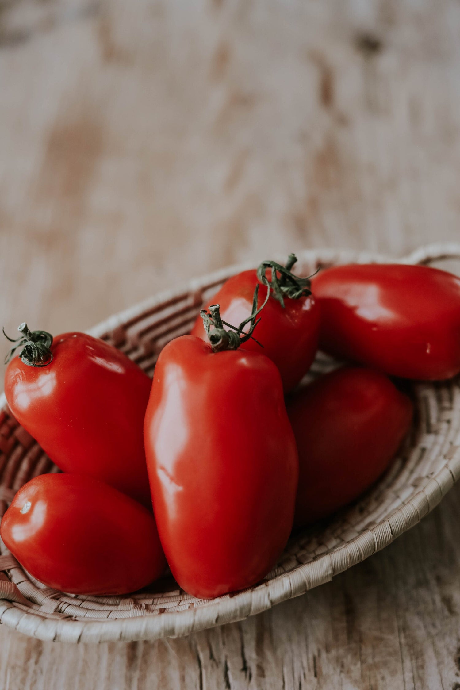 Plommontomat - San Marzano 2