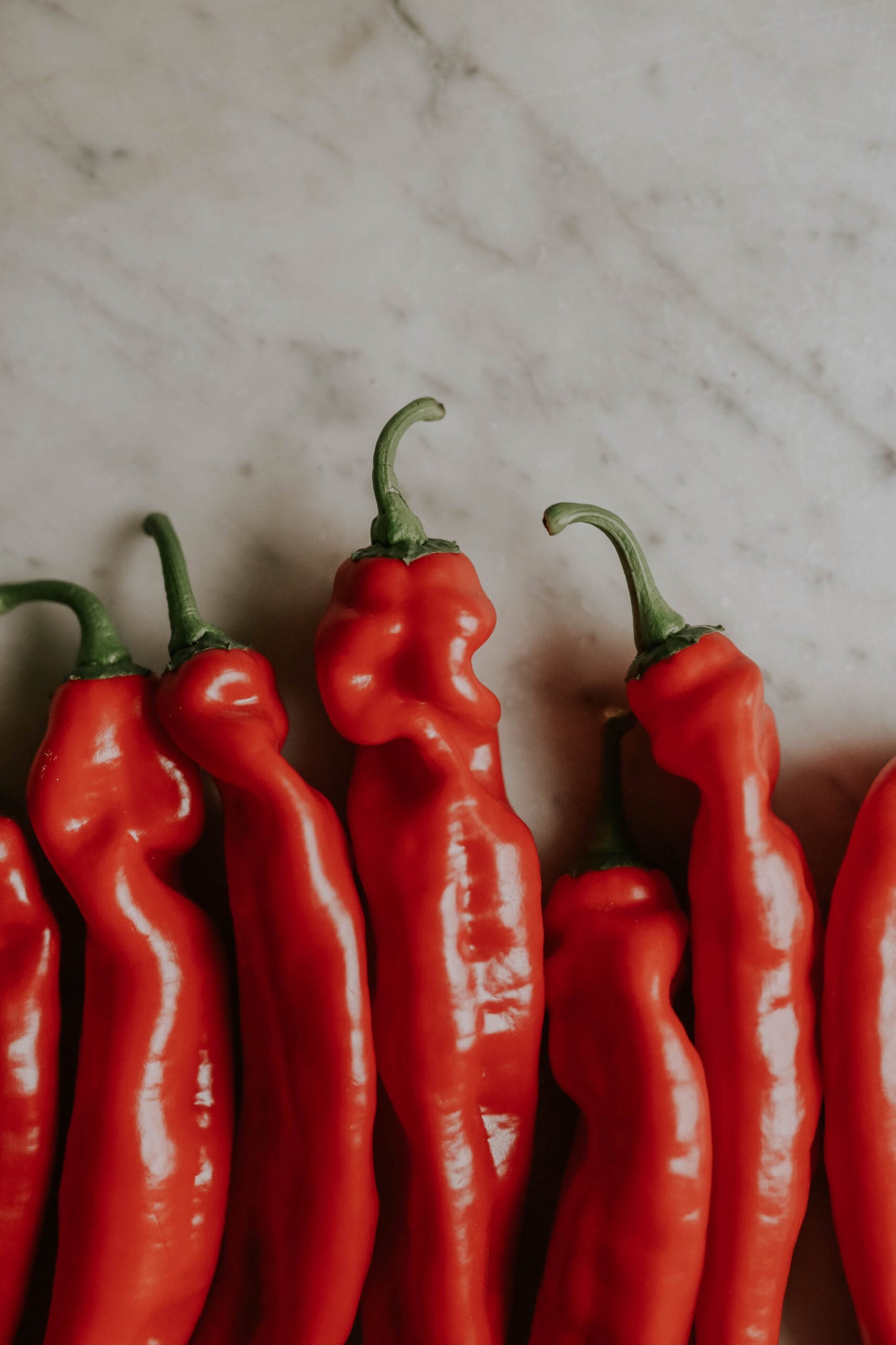 Snackpaprika - Paragon