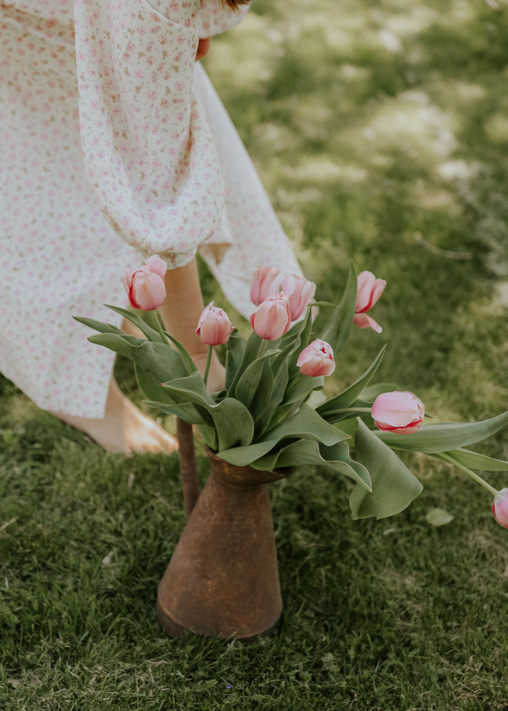 Tulpan - Salmon Impression EKO