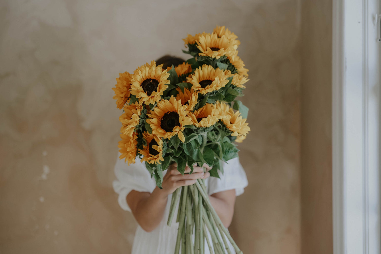 Sunflower - Sunrich Orange F1