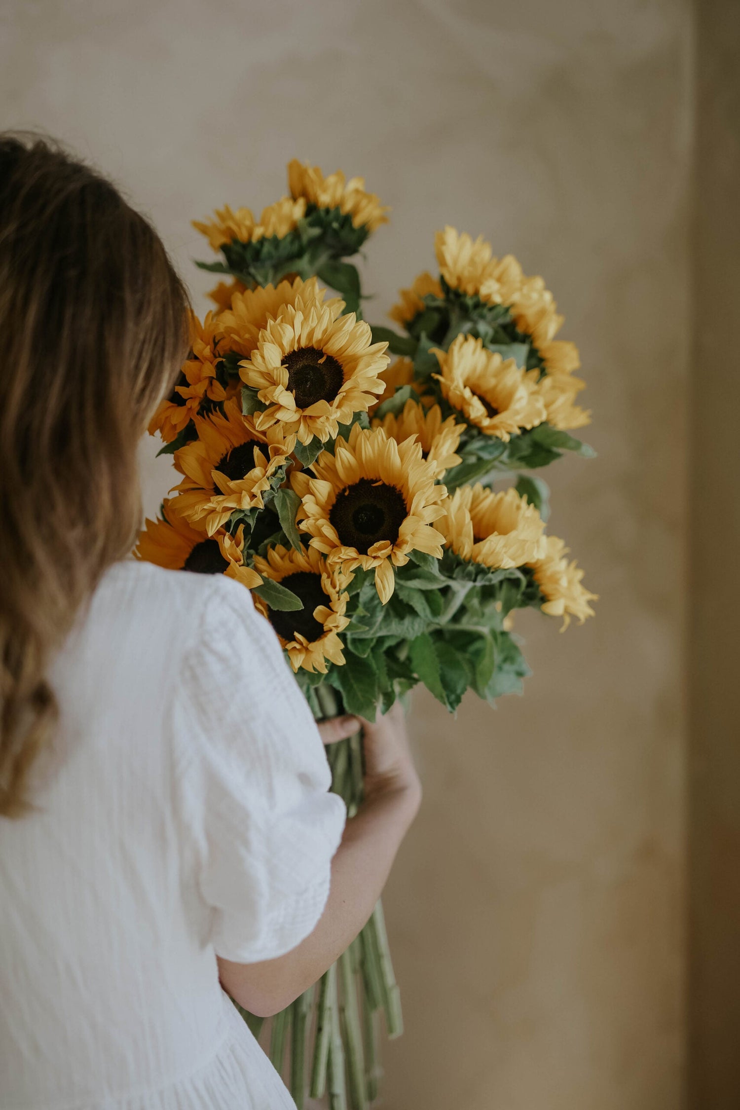 Sunflower - Sunrich Orange F1