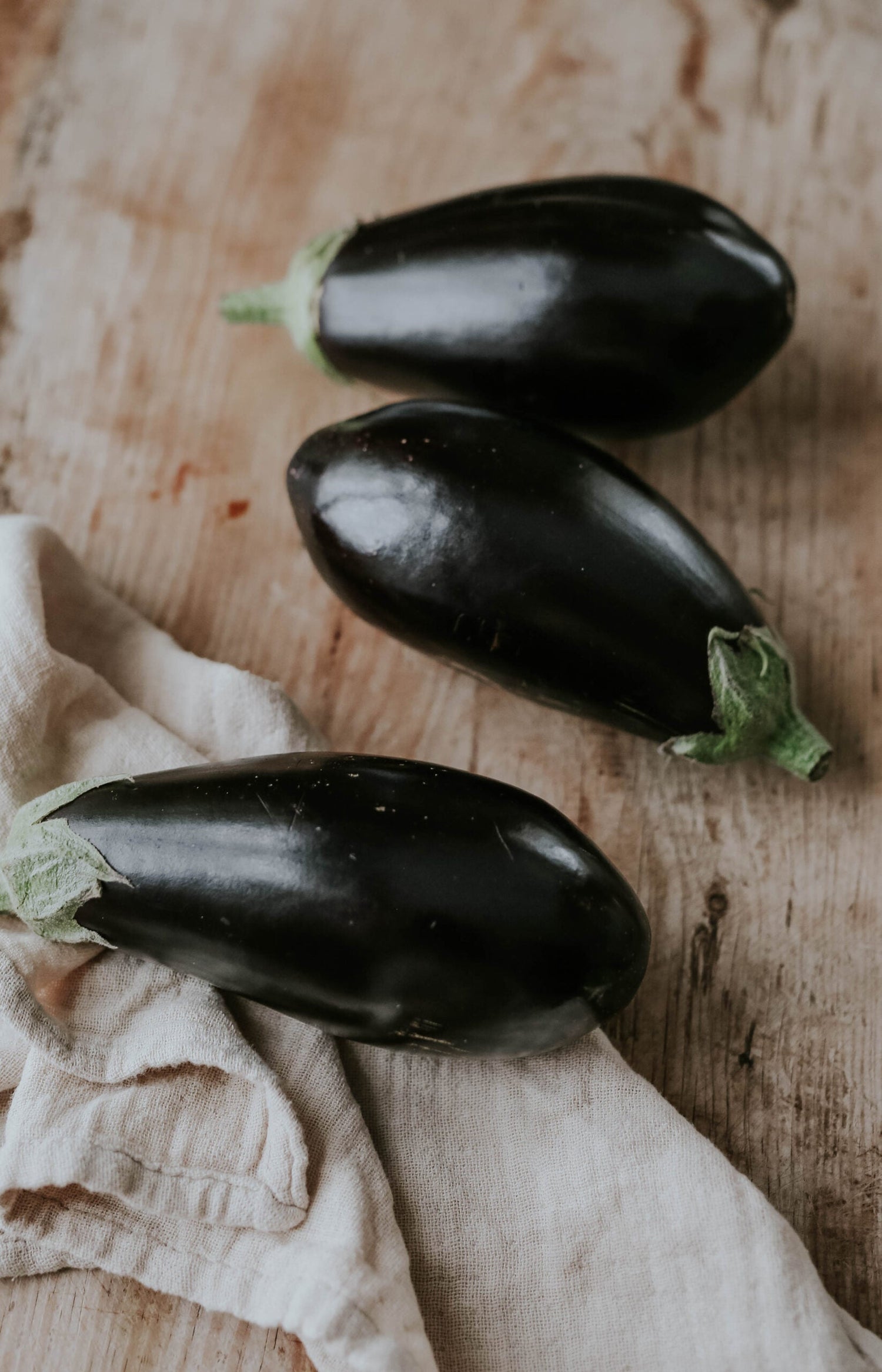 Squash - Black Beauty EKO