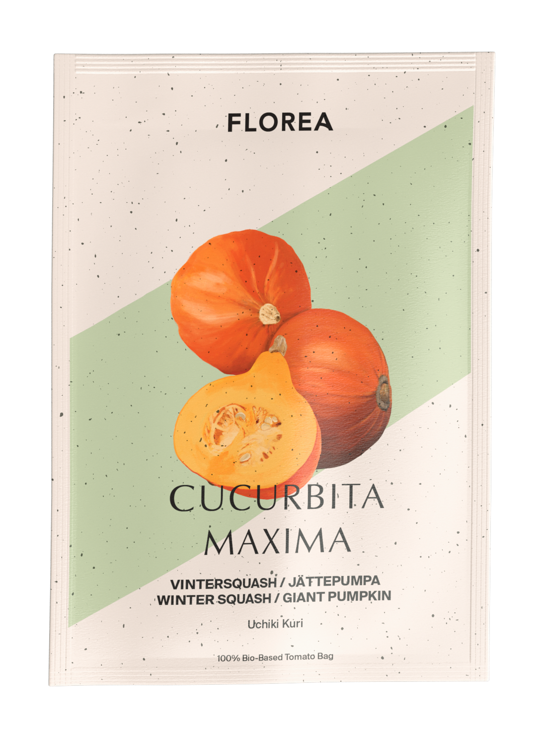 Vintersquash / Jättepumpa - Uchiki Kuri EKO